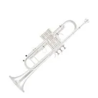 Arnolds&Sons ATR-5200GS-TERRA Труба Bb студенческая модель