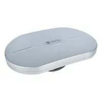 Intrend ICS-WL-AP Выносное приемо-передающее устройство, 2.4 ГГц 