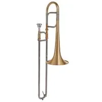 VIVOTON Standart Тромбон альт Ученический Eb ("Ми-бемоль")