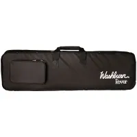 Washburn RO10SBK 3