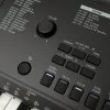 ROCKDALE Premiere 2 Lights Синтезатор с автоаккомпанементом и подсветкой клавиш