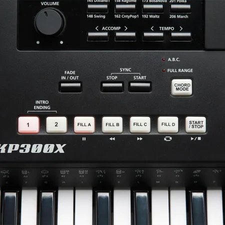 Kurzweil KP300X LB Синтезатор, 76 клавиш, полифония 128, цвет чёрный