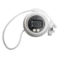 DSS DS-B256-F5G-RS50-NG-PA Видеокамера купольная с PoE, аудио, 5 Мп