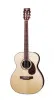 Гитара акустическая CRAFTER TM-035/N + чехол
