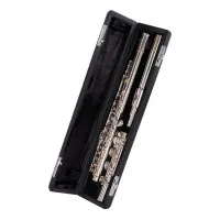 VIVOTON Student 17 Х Флейта C (До) полупрофессиональная