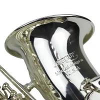 Mercury AS-306 Саксофон альт Eb, в кейсе