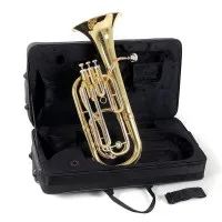 ROY BENSON BH-301 Баритон помповый, традиционной компоновки