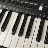 ROCKDALE Premiere 2 Lights Синтезатор с автоаккомпанементом и подсветкой клавиш